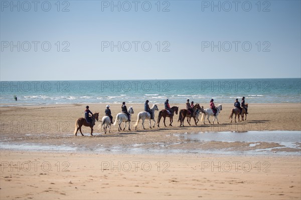 Villers-sur-Mer, chevaux et poneys sur la plage