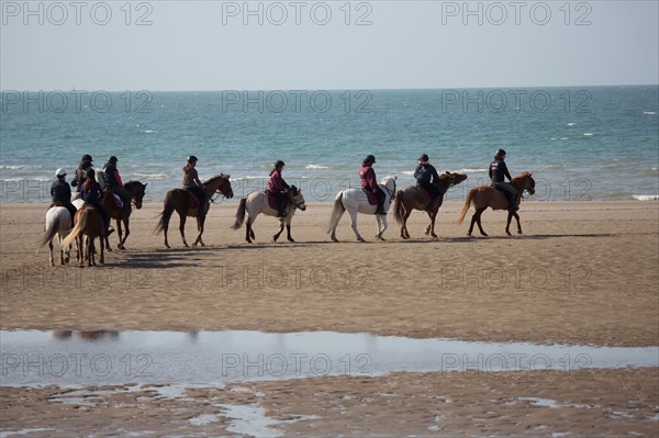 Villers-sur-Mer, chevaux et poneys sur la plage