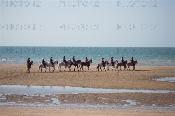 Villers-sur-Mer, chevaux et poneys sur la plage