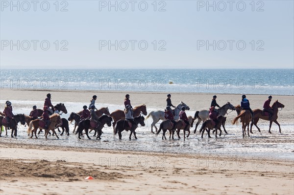 Villers-sur-Mer, chevaux et poneys sur la plage