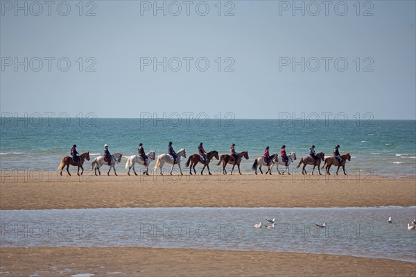 Villers-sur-Mer, chevaux et poneys sur la plage