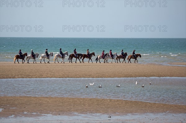 Villers-sur-Mer, chevaux et poneys sur la plage