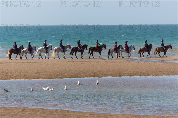 Villers-sur-Mer, chevaux et poneys sur la plage