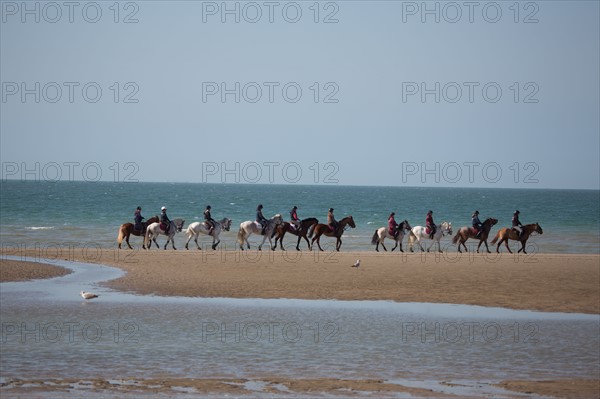 Villers-sur-Mer, chevaux et poneys sur la plage