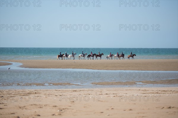 Villers-sur-Mer, chevaux et poneys sur la plage