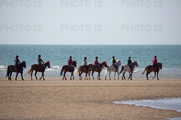 Villers-sur-Mer, chevaux et poneys sur la plage