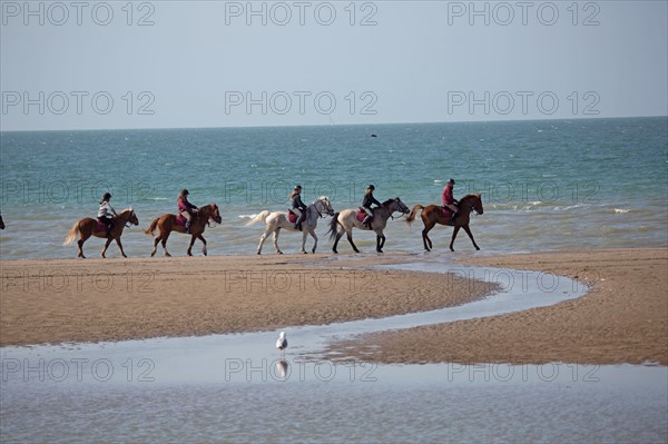 Villers-sur-Mer, chevaux et poneys sur la plage