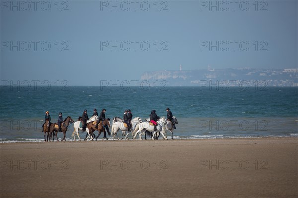 Villers-sur-Mer, chevaux et poneys sur la plage