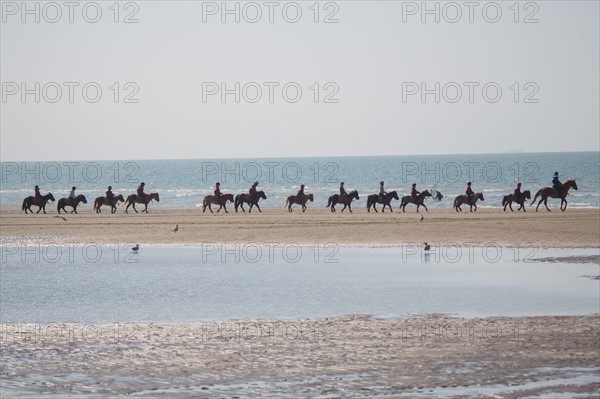 Villers-sur-Mer, chevaux et poneys sur la plage