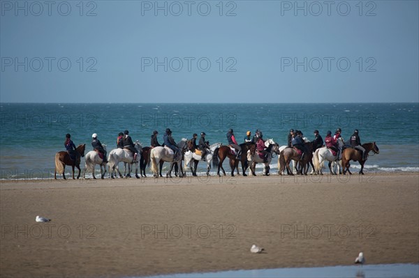 Villers-sur-Mer, chevaux et poneys sur la plage