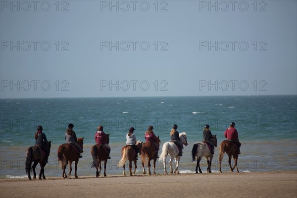 Villers-sur-Mer, chevaux et poneys sur la plage