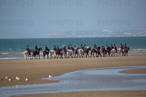 Villers-sur-Mer, chevaux et poneys sur la plage