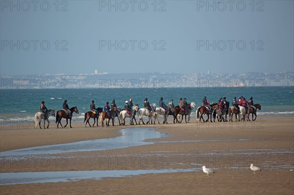 Villers-sur-Mer, chevaux et poneys sur la plage