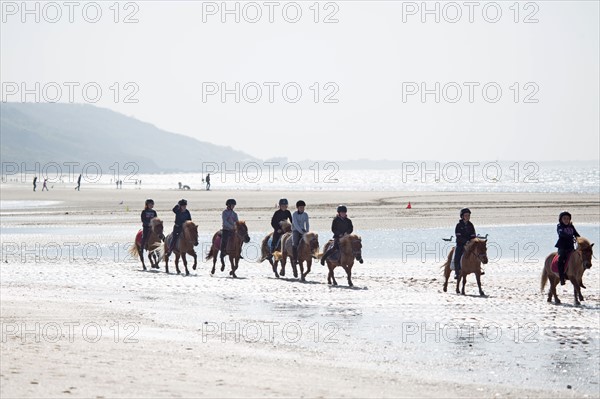 Villers-sur-Mer, chevaux et poneys sur la plage