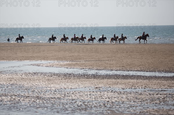 Villers-sur-Mer, chevaux et poneys sur la plage