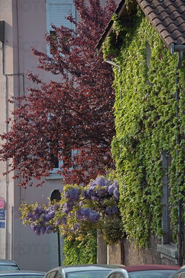 Lyon, porche fleuri à la Croix-Rousse