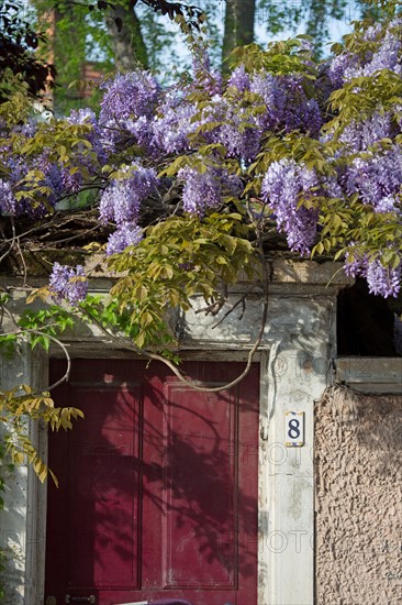 Lyon, porche fleuri à la Croix-Rousse