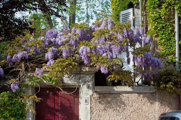 Lyon, porche fleuri à la Croix-Rousse