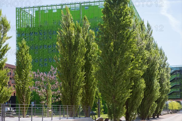 Lyon, Immeuble "Le Cube Vert" dans le quartier Confluence