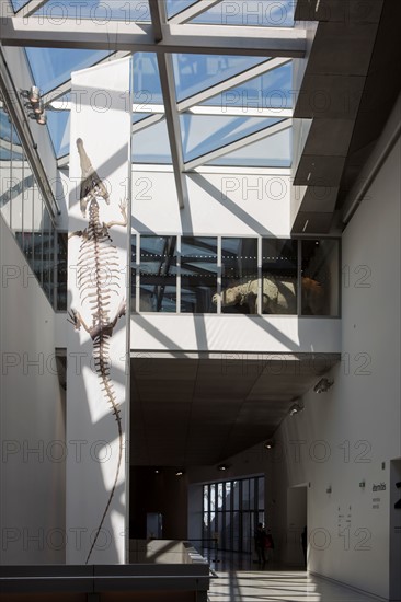 Lyon, musée des Confluences