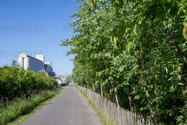 Rouen, Presqu'ile Rollet