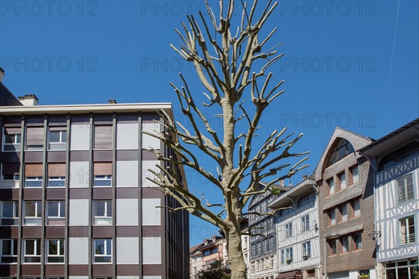 Rouen, Rue Eau-de-Robec