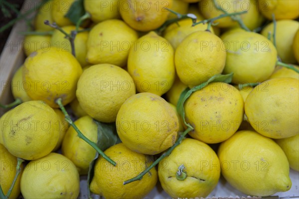 Citrons