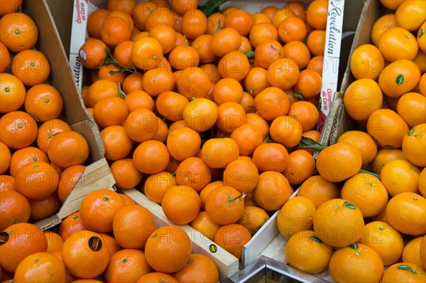 Clementines