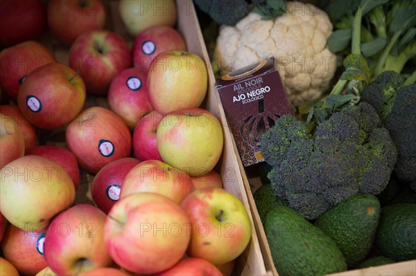 Fruits et légumes bio