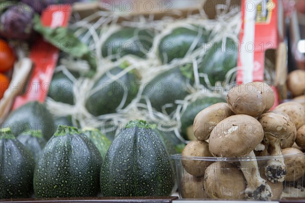 Courgettes rondes et champignons bruns