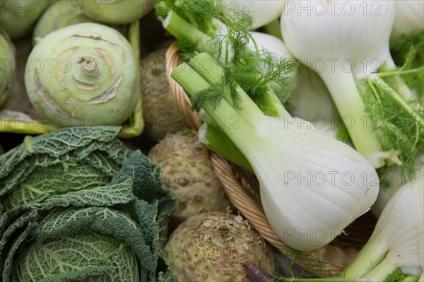 Fenouil, céleri et chou vert