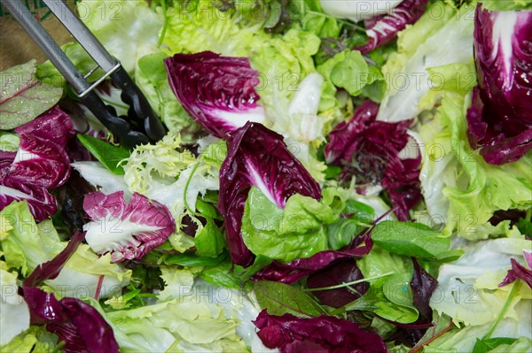 Salade mesclun