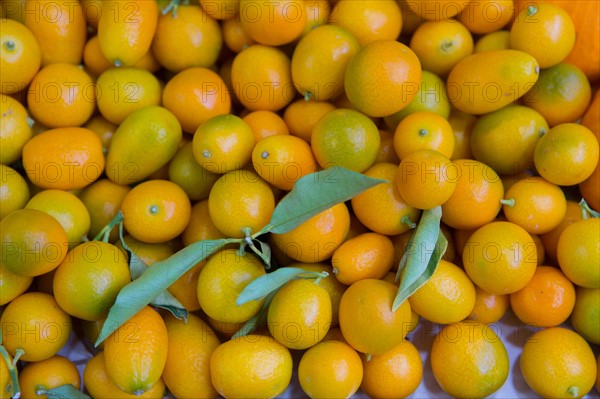 Kumquats