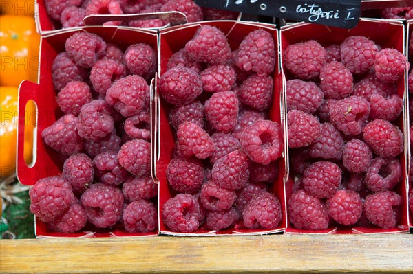 Barquettes de framboises