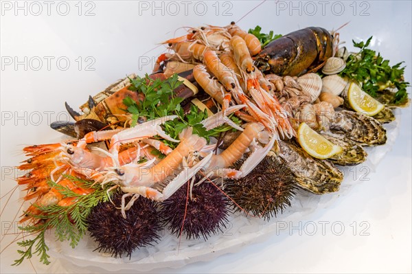 Plateau de fruits de mer