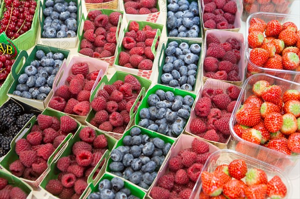 Barquettes de fruits rouges