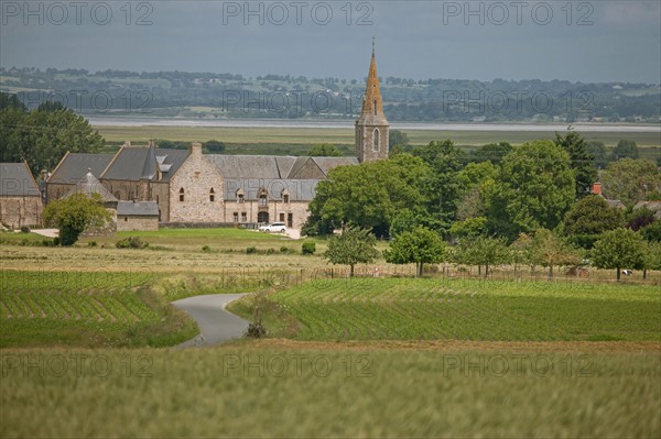 Baie du Mont-Saint-Michel, village d'Ardevon