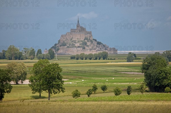 Champs de la Baie du Mont-Saint-Michel