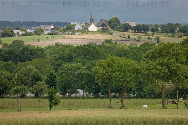 Baie du Mont-Saint-Michel, village d'Ardevon