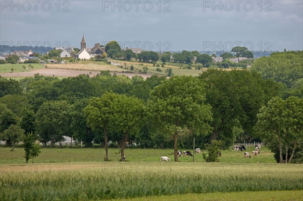 Baie du Mont-Saint-Michel, village d'Ardevon