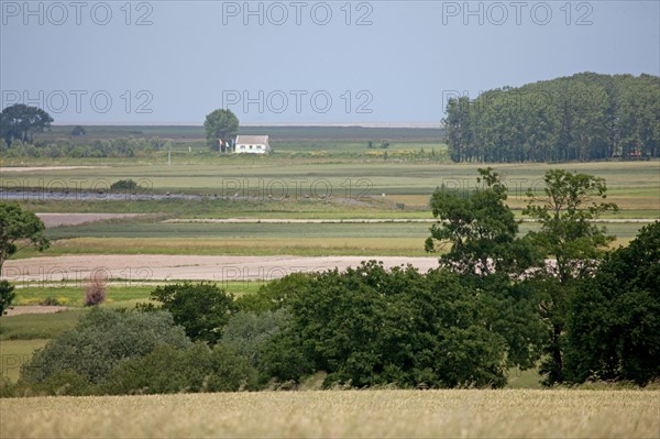 Baie du Mont-Saint-Michel, village d'Ardevon