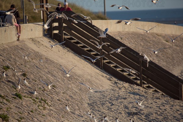 Berck Plage