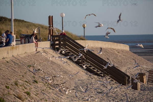 Berck Plage