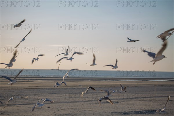 Berck Plage