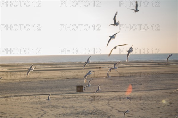 Berck Plage