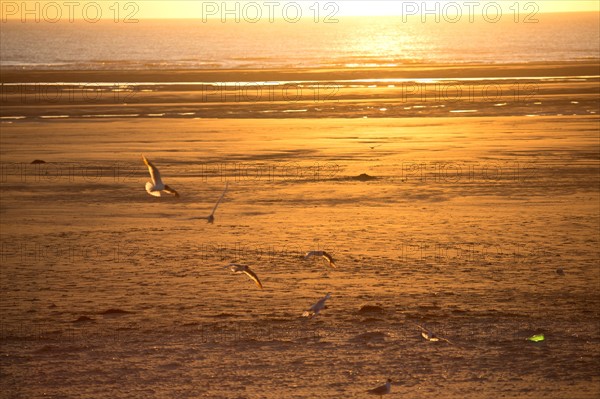 Berck Plage