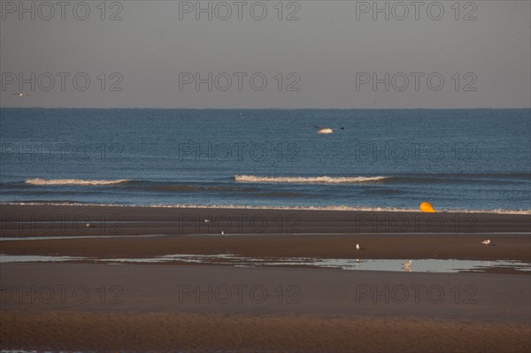 Fort-Mahon-Plage, Baie de Somme