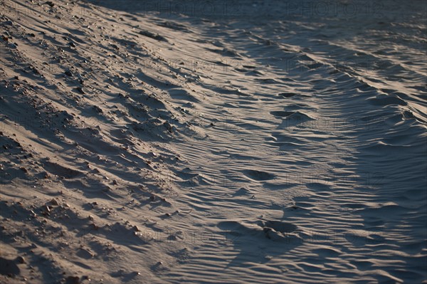 Fort-Mahon-Plage, Baie de Somme