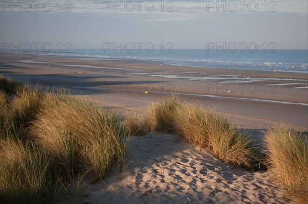 Fort-Mahon-Plage, Baie de Somme