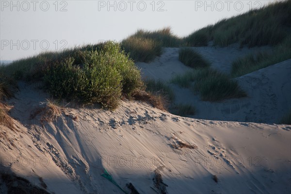 Fort-Mahon-Plage, Baie de Somme